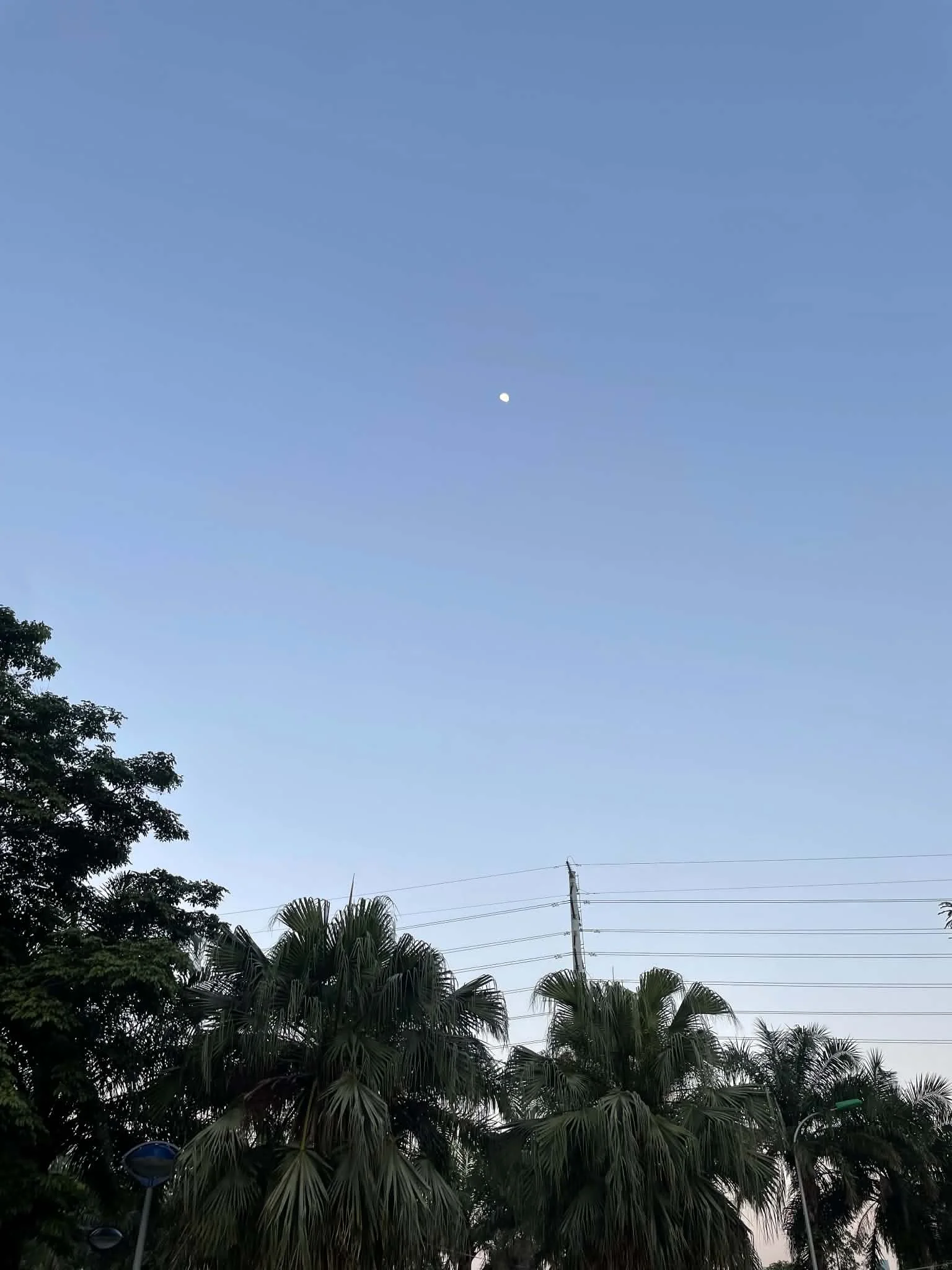 Ảnh đính kèm