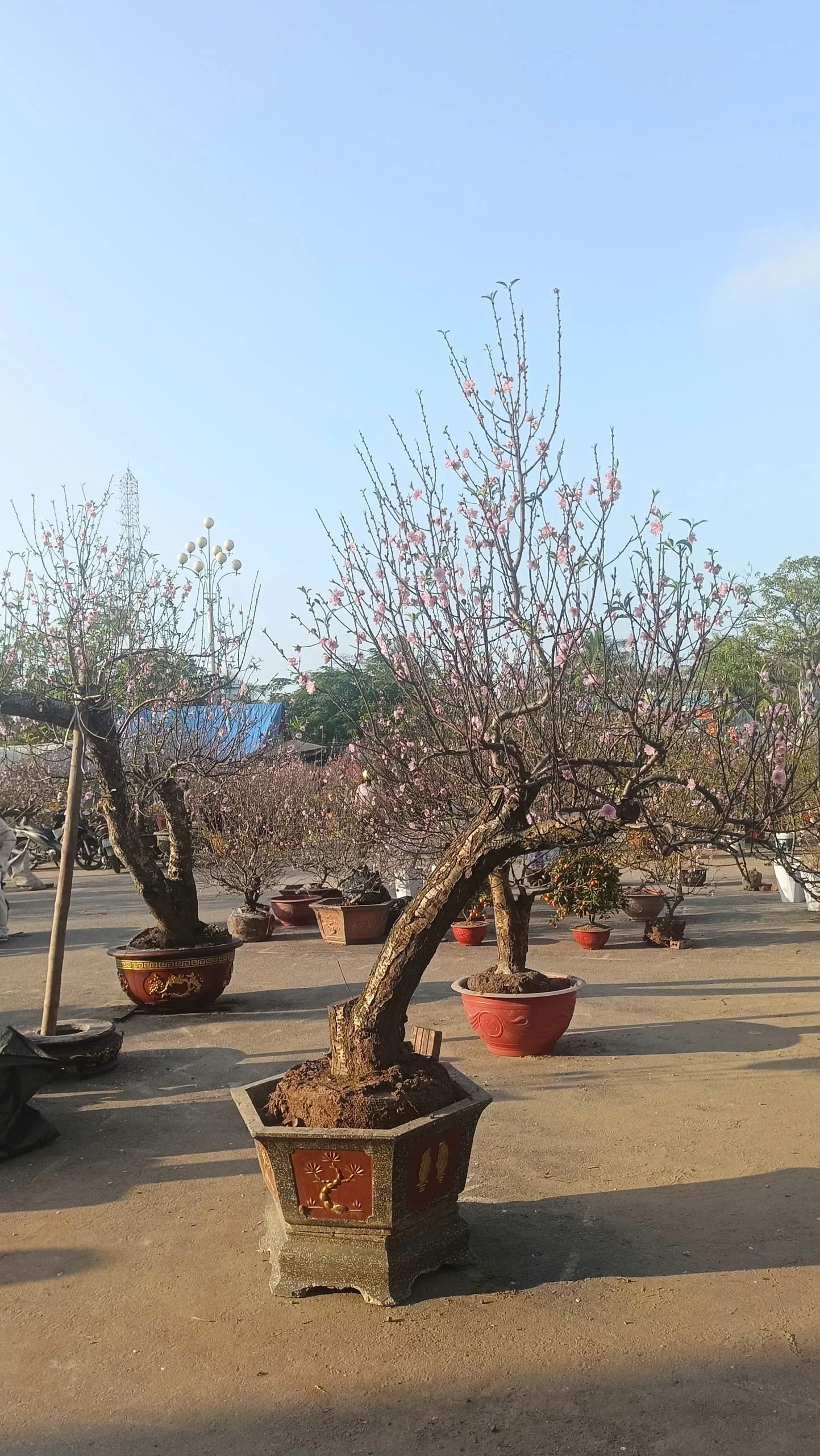 Ảnh đính kèm