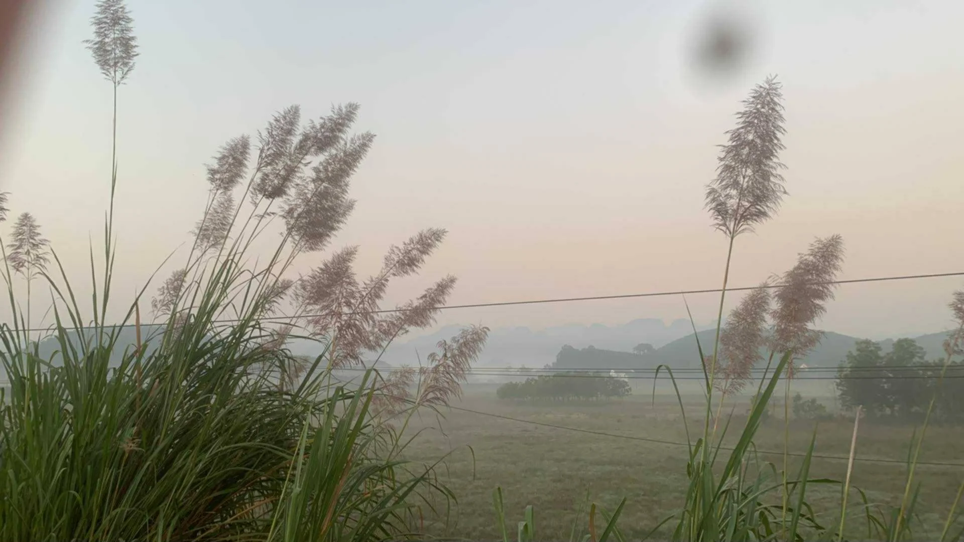 Ảnh đính kèm
