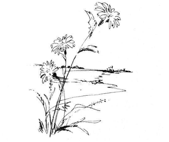 Ảnh đính kèm